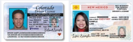 sample driver license photos